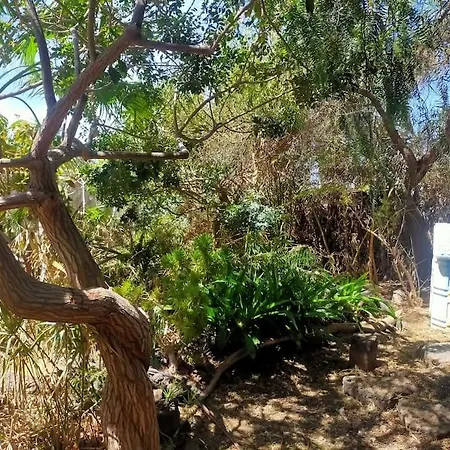Fairytale Cabana Pequeno Salvaje Oasis In The Desert 公寓 Roque