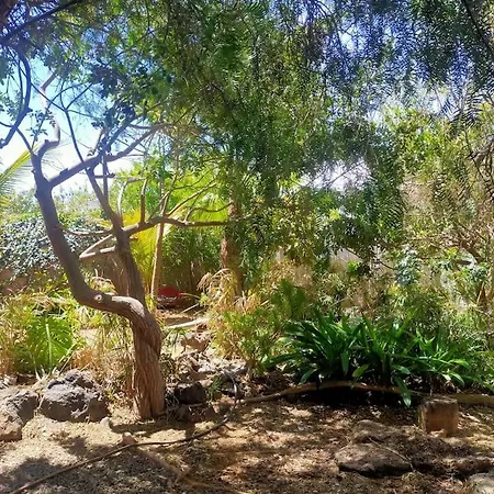 Fairytale Cabana Pequeno Salvaje Oasis In The Desert Apartmán Roque
